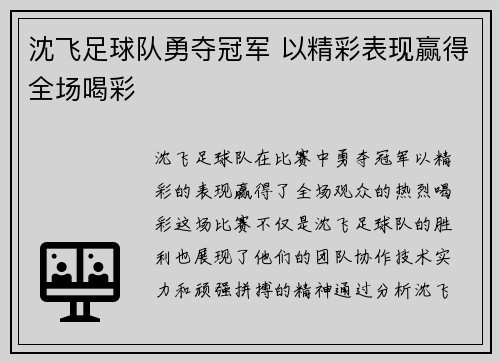 沈飞足球队勇夺冠军 以精彩表现赢得全场喝彩